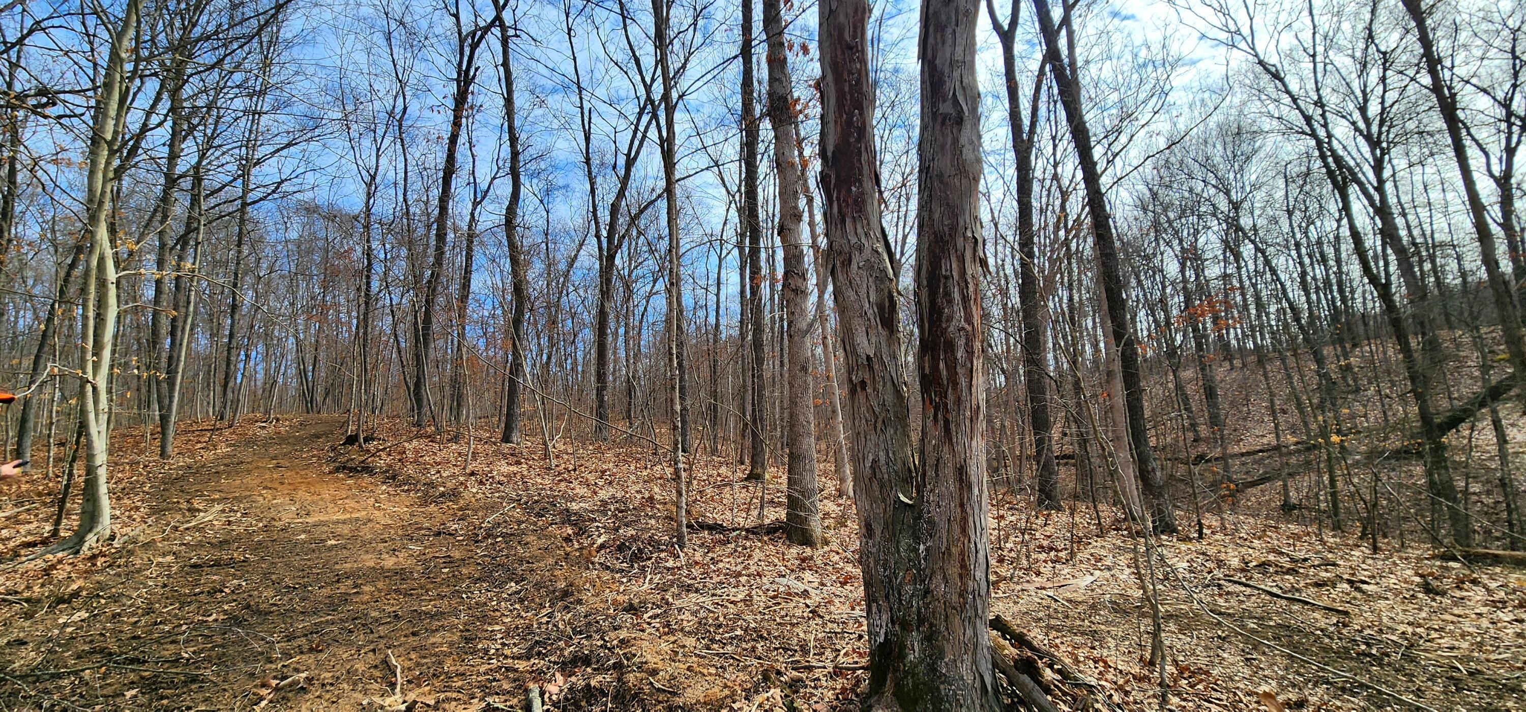 0 Edmundson Road, Unit TRACT 4 AT BIG TIMBER) Vinton, OH 45686 - Photo 12 of 67 13