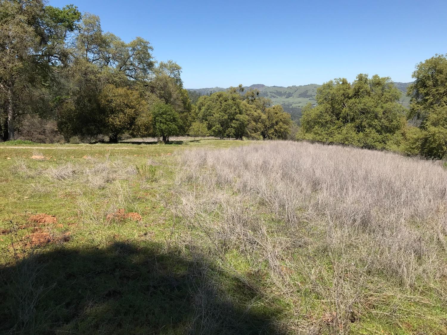 5080 Thompson Hill Road Placerville, CA 95667 - Photo 22 of 37