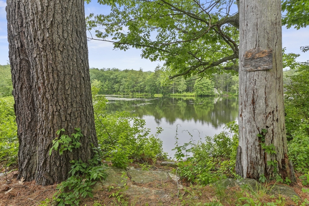 3 Cranberry Meadow Shore Road Charlton, MA 01507 - Photo 36 of 39 a view of a lake with a tree