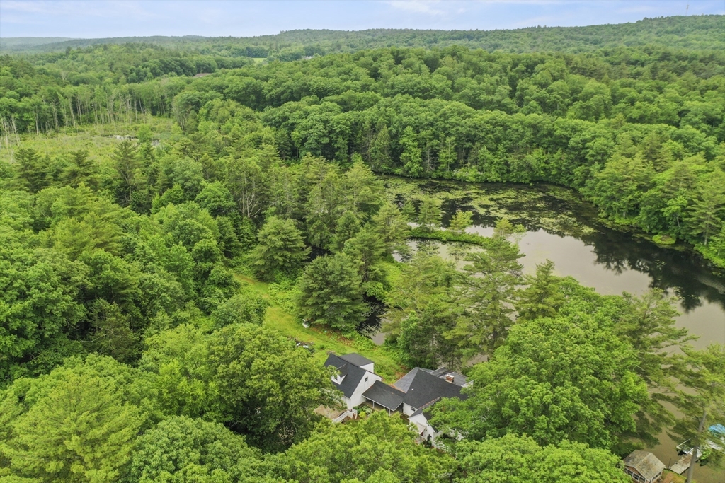3 Cranberry Meadow Shore Road Charlton, MA 01507 - Photo 37 of 39 a view of a lush green forest with lots of trees