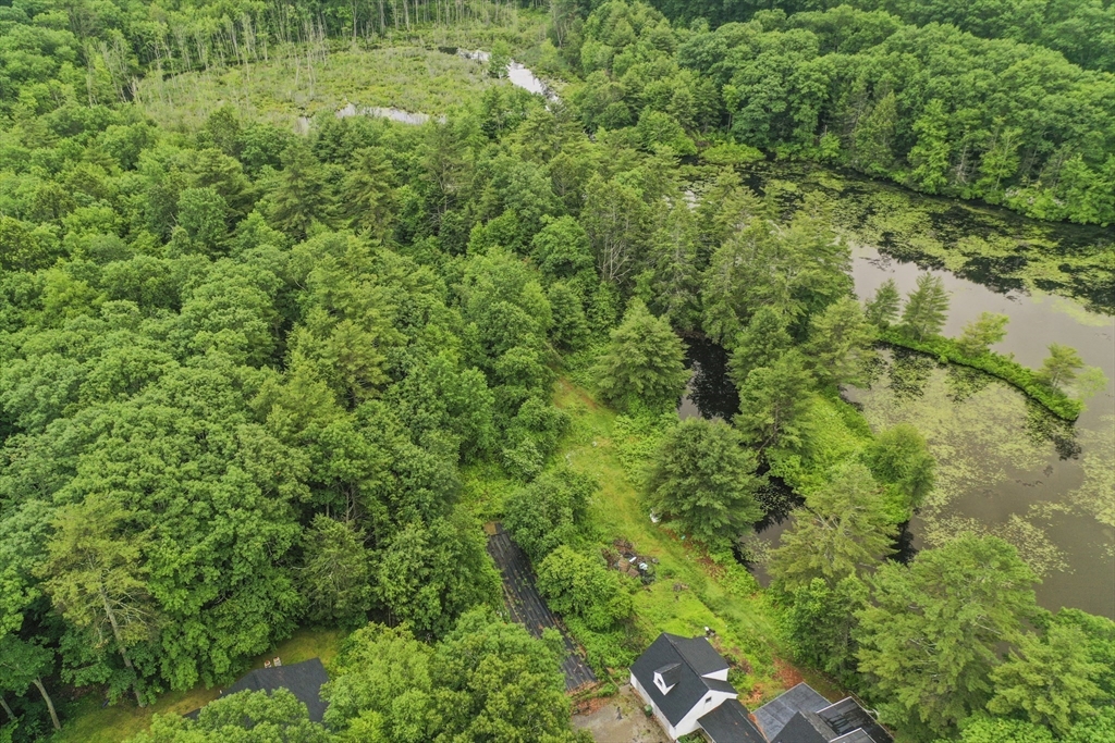 3 Cranberry Meadow Shore Road Charlton, MA 01507 - Photo 38 of 39 a view of a lush green forest with lots of trees