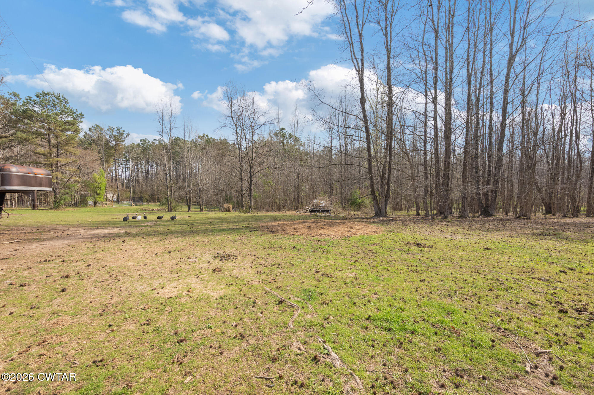 21 Deercrest Lane Lexington, TN 38351 - Photo 19 of 24 a view of a yard