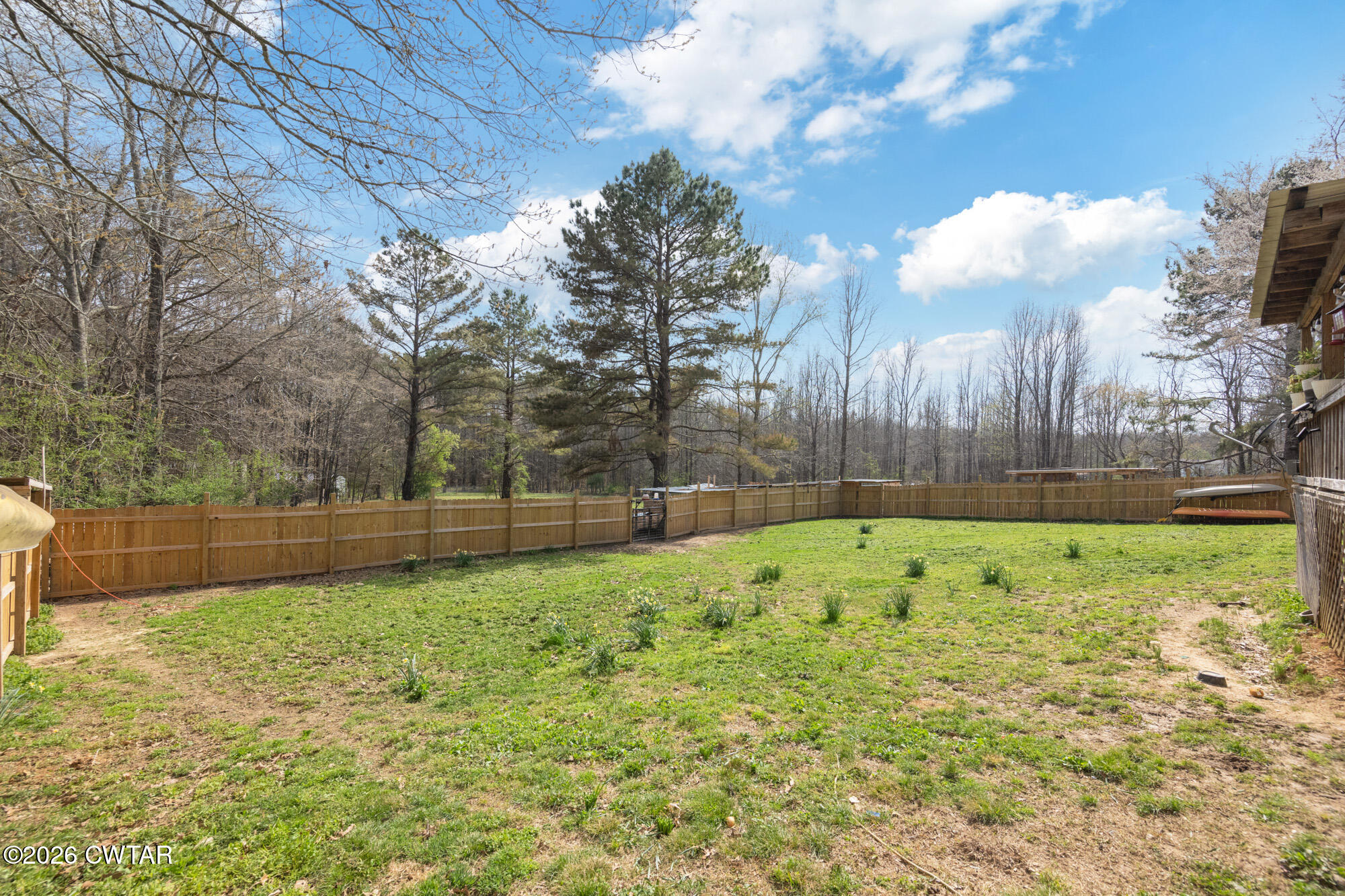 21 Deercrest Lane Lexington, TN 38351 - Photo 3 of 24 a view of backyard with tree
