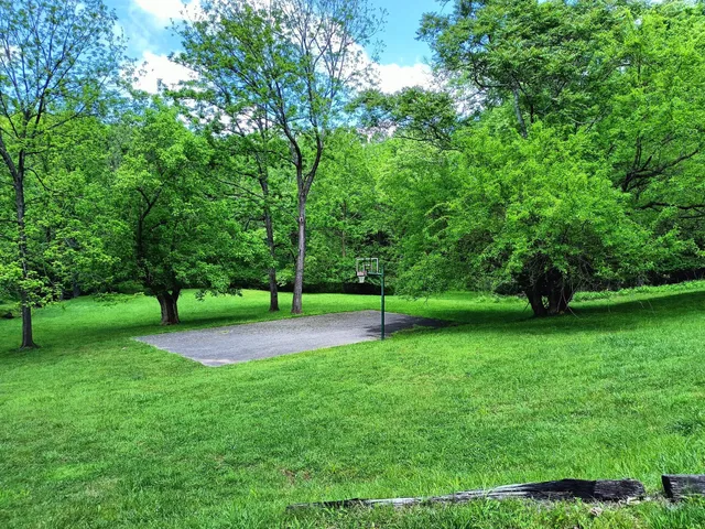 a view of a park with trees in the background