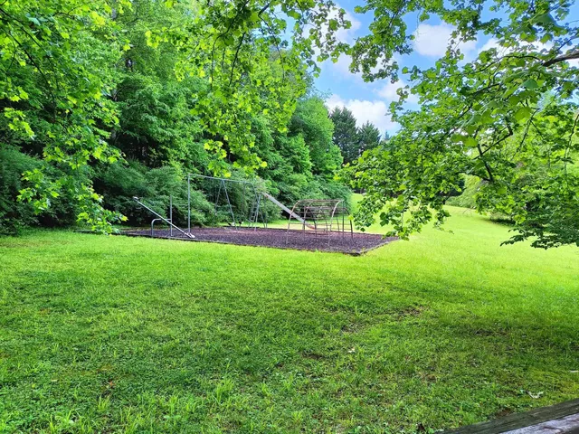 a view of green field with plants