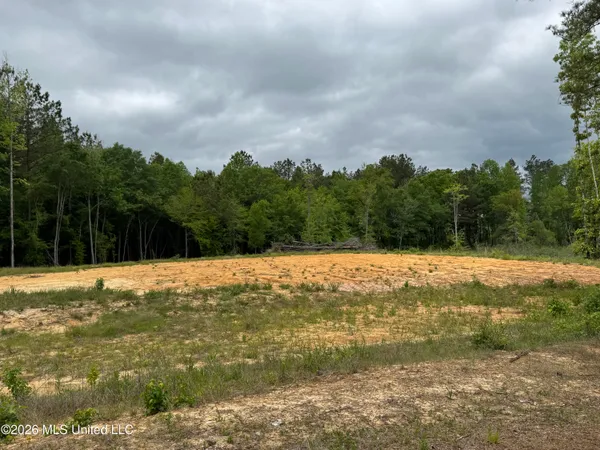 $10,000 | Northeast Allred Road, Eupora, MS 39744