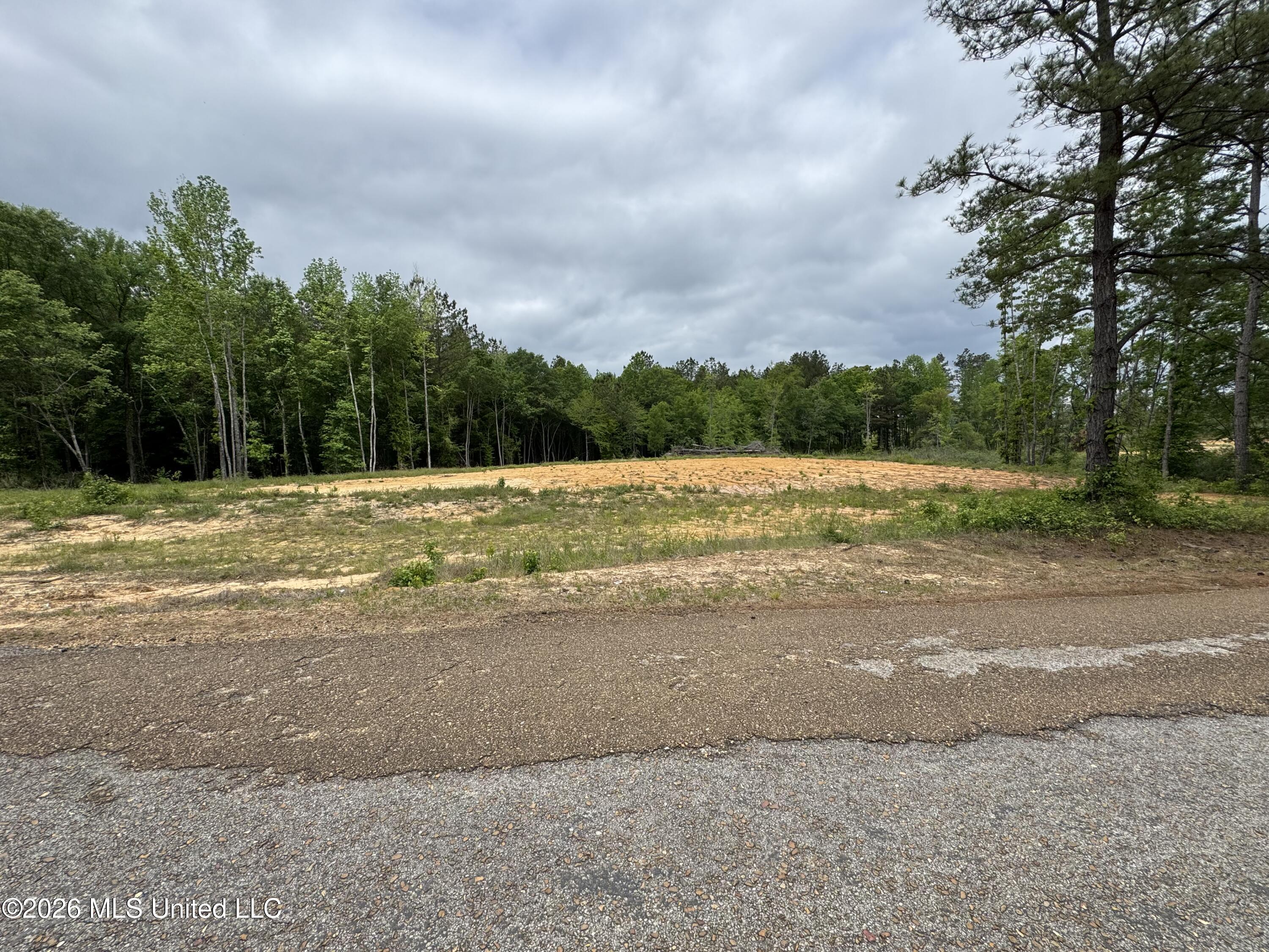 Northeast Allred Road Eupora, MS 39744 - Photo 2 of 3 IMG_0008