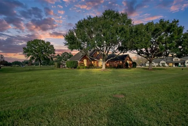 a view of a park with large trees
