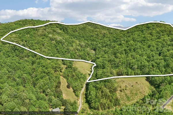 $875,000 | 590 Willow Lane, Marshall, NC 28753