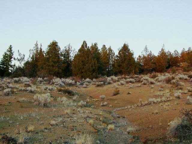 0 Godowa Spring Beatty, OR 97621 - Photo 4 of 6 Additional Photo