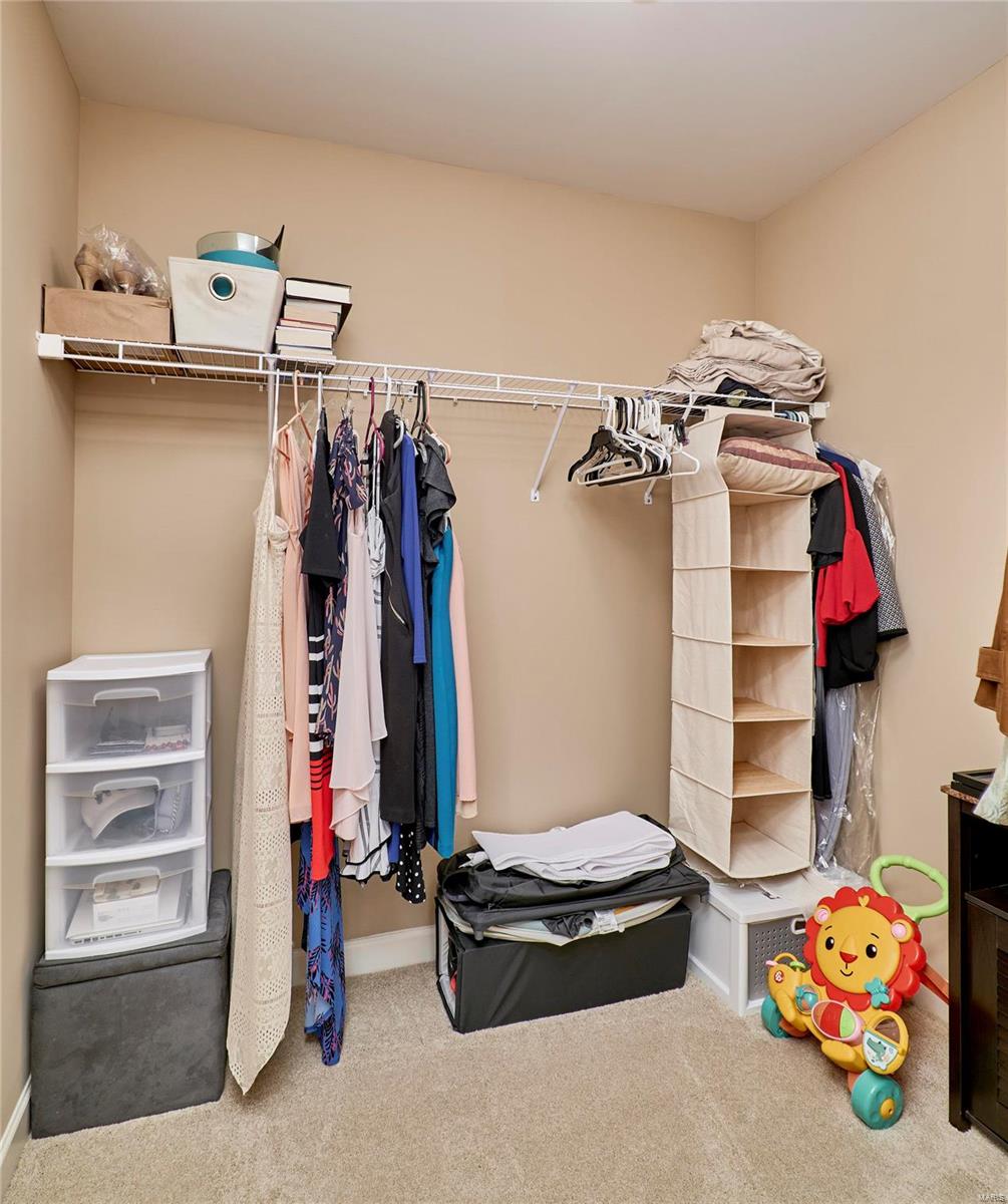 2346 Spring Mill Estates Drive St. Charles, MO 63303 - Photo 64 of 99