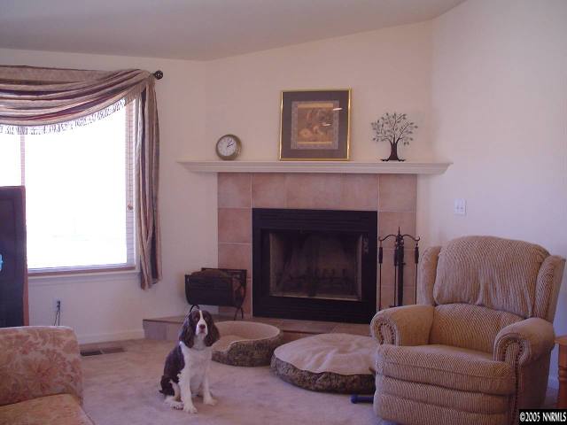 531 River Ranch Road Fernley, NV 89408 - Photo 2 of 8 Photo 2