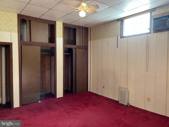 a view of a yard with plants and large trees