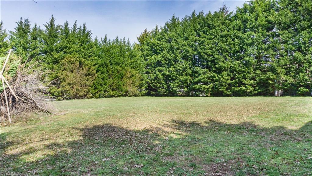 634 Fuller Mill Road North Trinity, NC 27370 - Photo 5 of 18