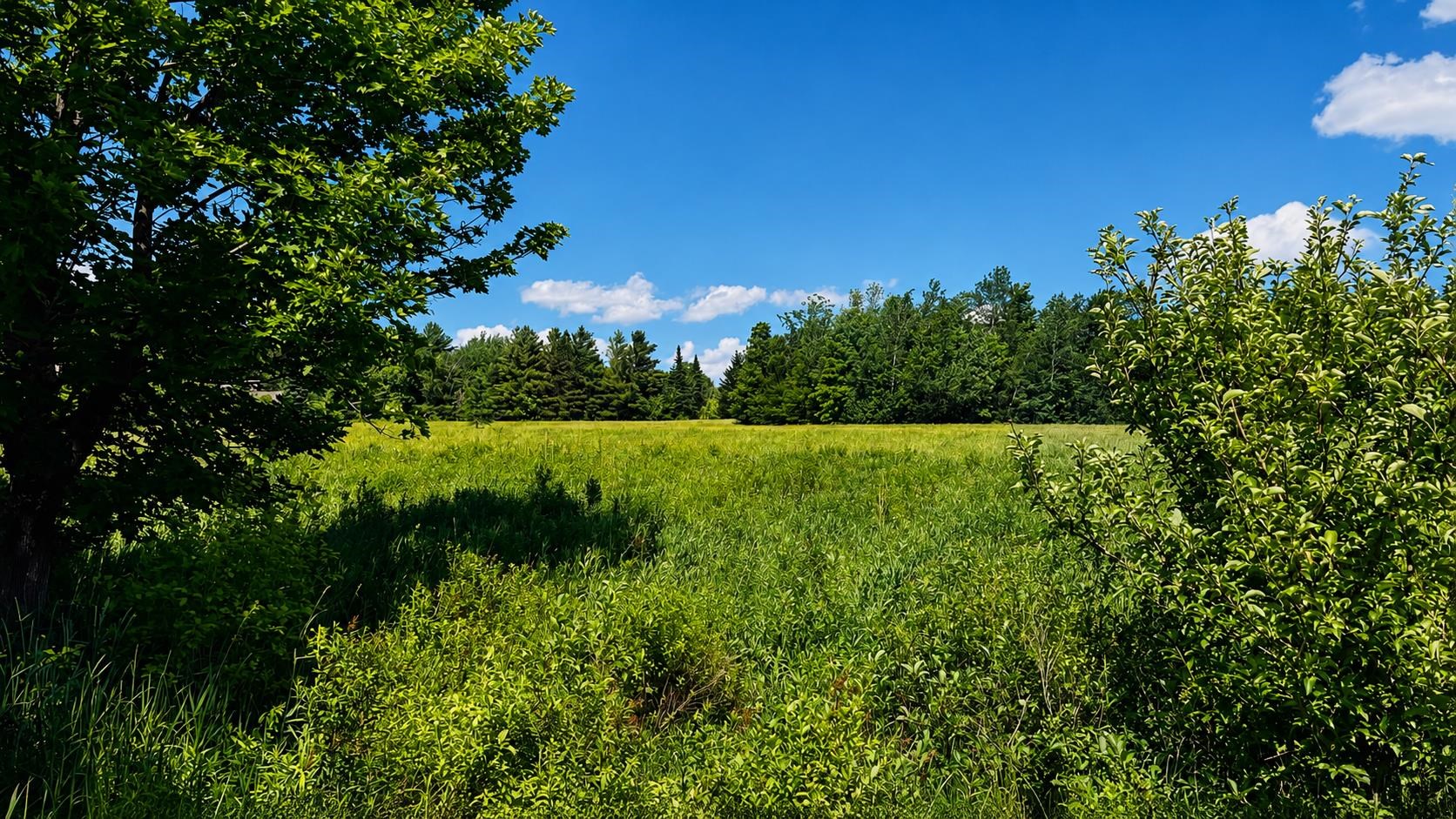 237 Loop Road Jay, VT 05859 - Photo 8 of 34