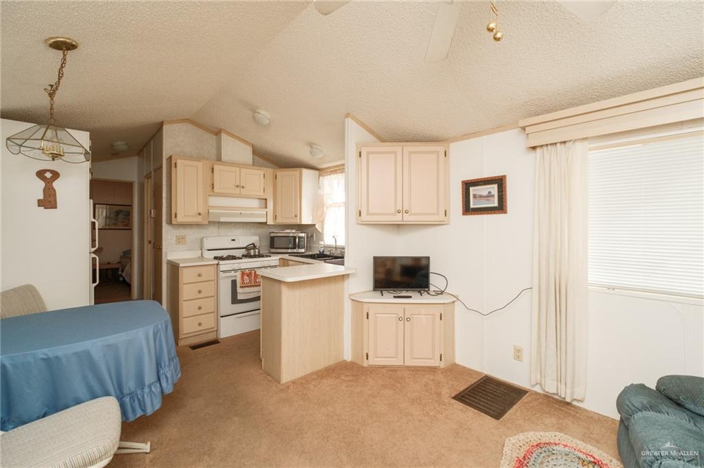 215 South Valley View Road, Unit 115 Donna, TX 78537 - Photo 5 of 20