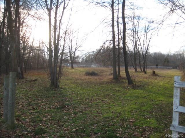 20630 Gentz Road Belleville, MI 48111 - Photo 10 of 17 IMG_0580.JPG