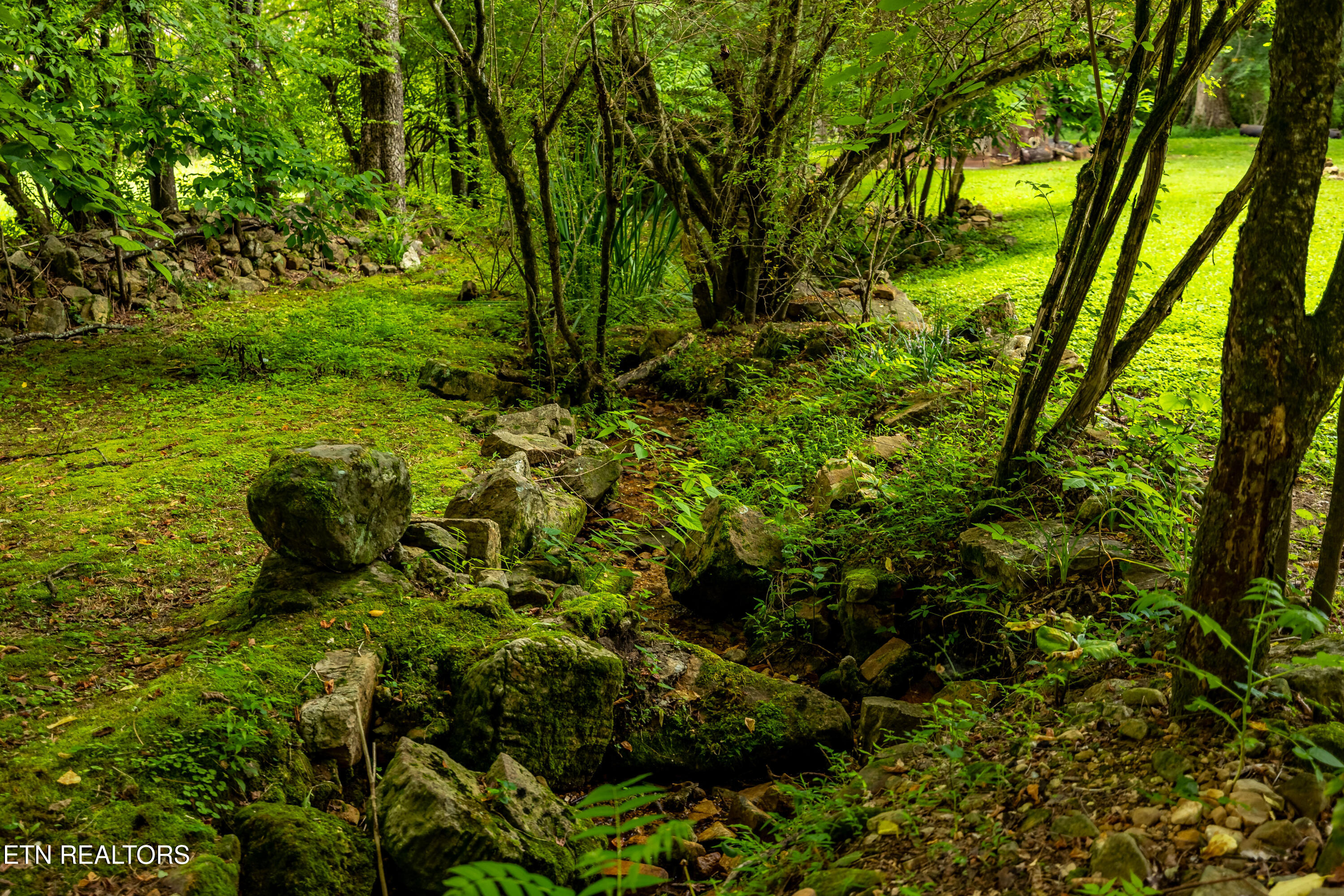 143 Old Cove Road Walland, TN 37886 - Photo 45 of 49 Creek