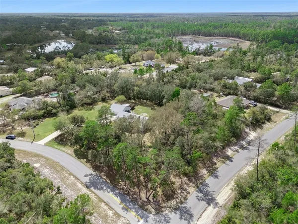 an aerial view of residential houses with outdoor space and trees