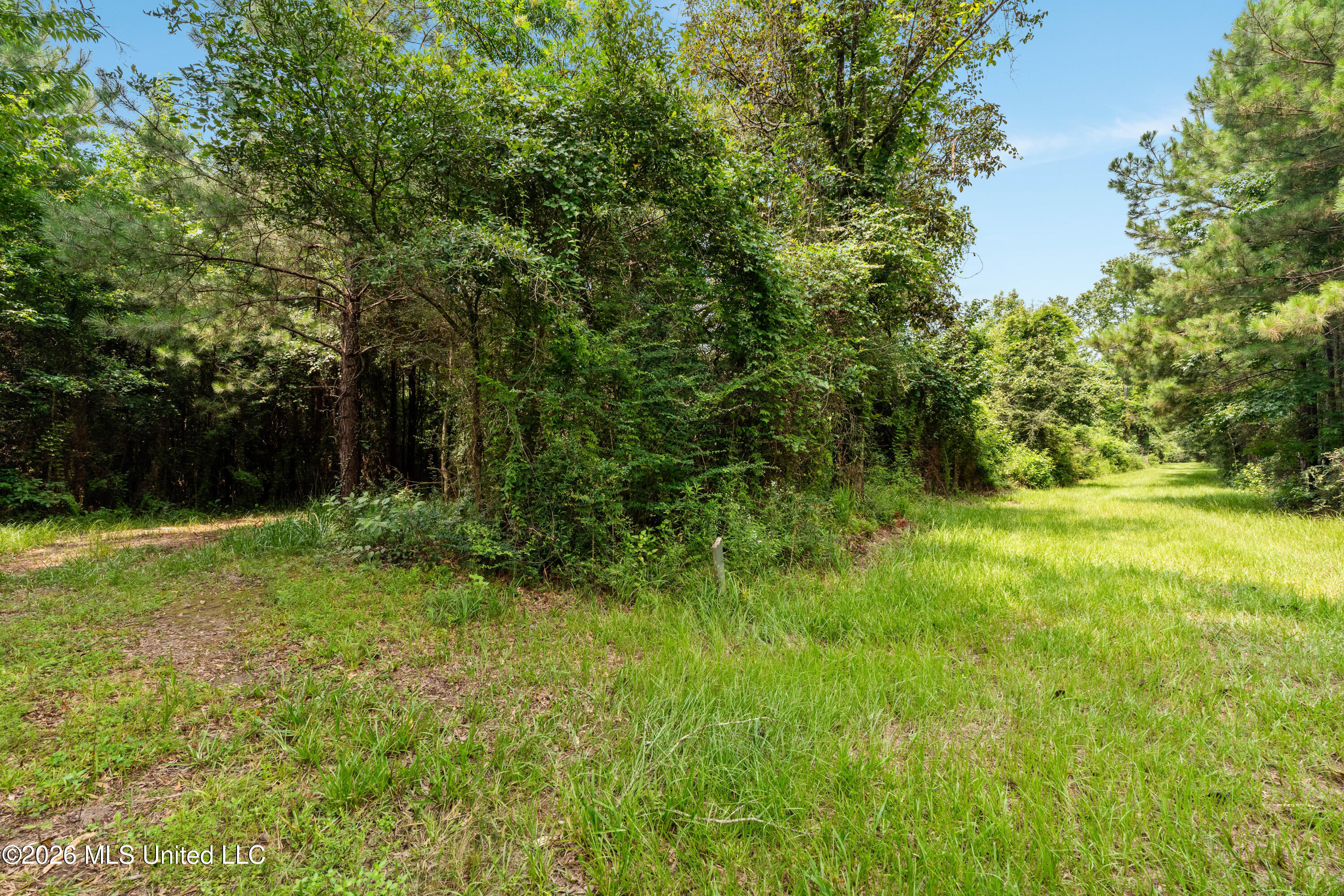 232 Knoxo Columbia Road Tylertown, MS 39667 - Photo 73 of 120 232_Knoxo_Columbia_Rd-73