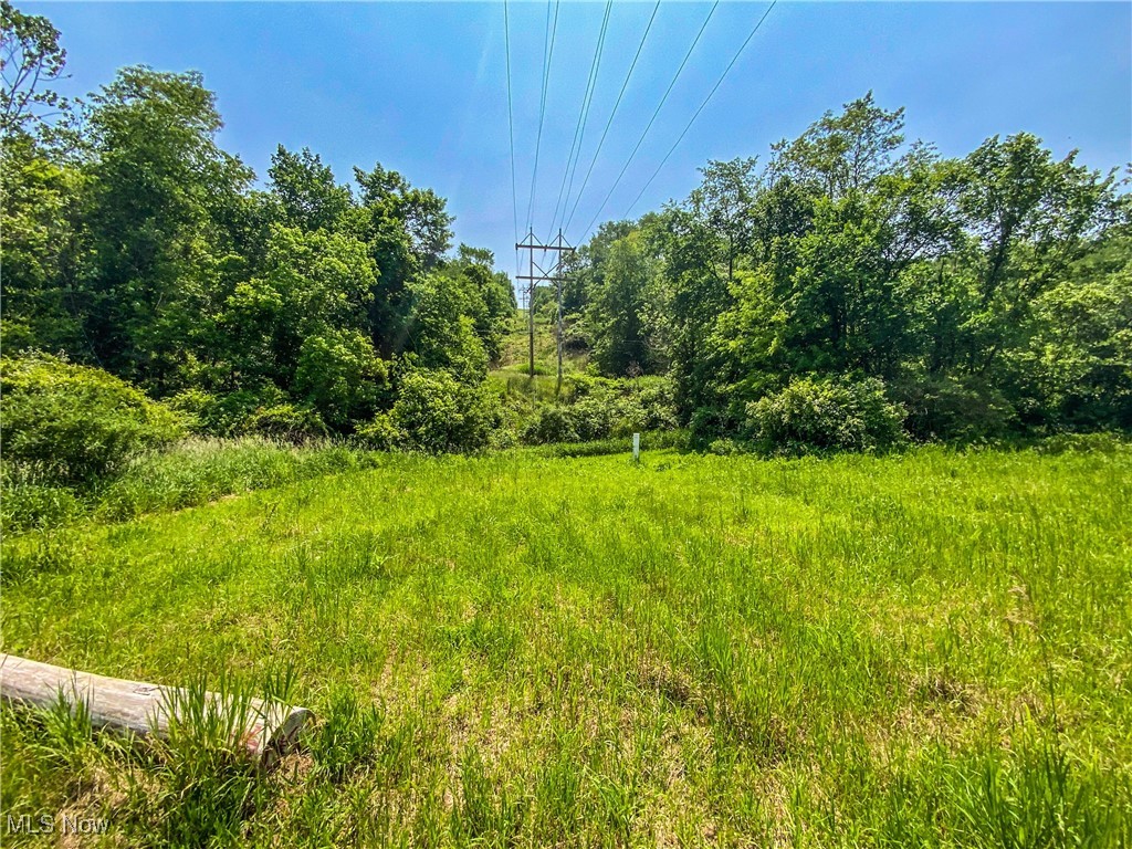 0 Dolezal Road Dillonvale, OH 43917 - Photo 4 of 16 View of local wilderness