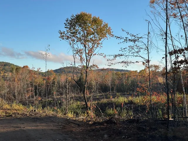 $77,900 | 0 Thurley Road, Center Ossipee, NH 03814