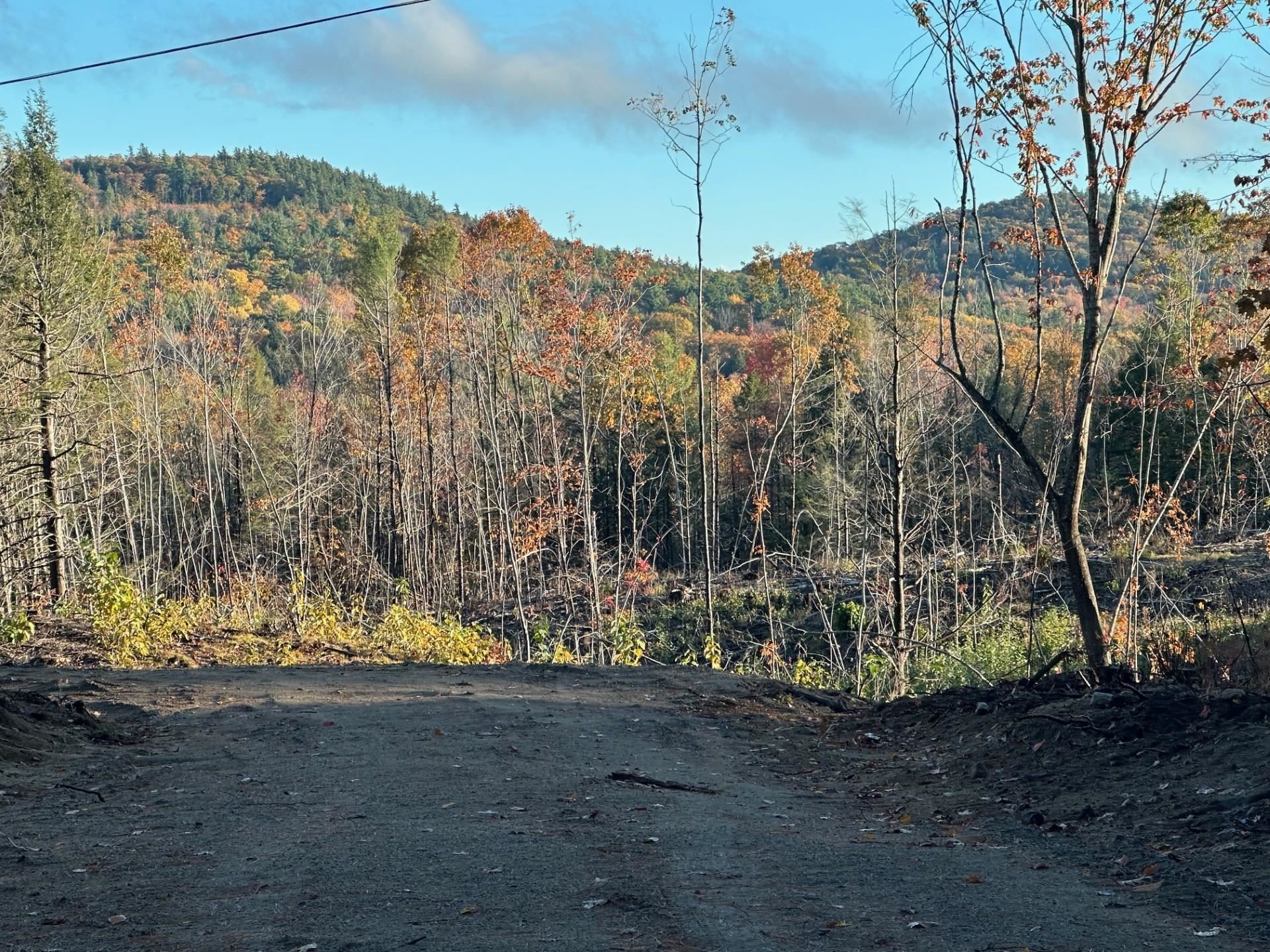 0 Thurley Road Center Ossipee, NH 03814 - Photo 3 of 4