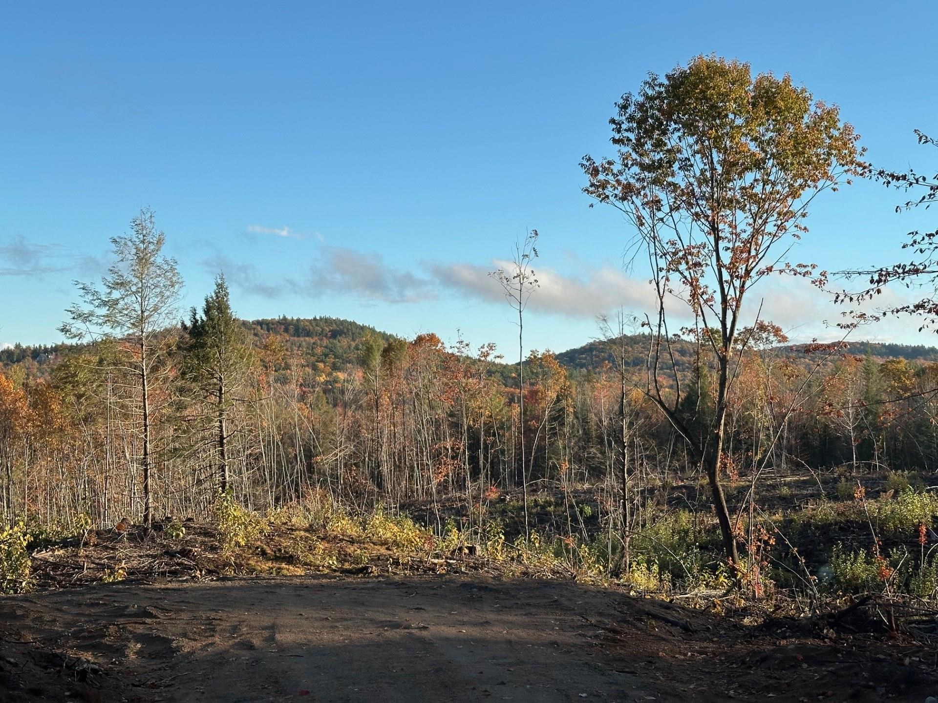 0 Thurley Road Center Ossipee, NH 03814 - Photo 4 of 4