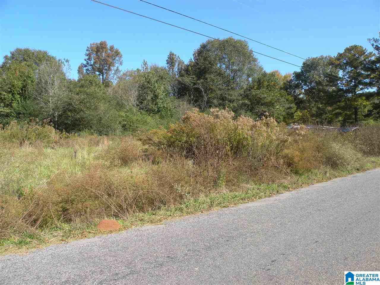 163 Thurman Road Talladega, AL 35160 - Photo 20 of 22