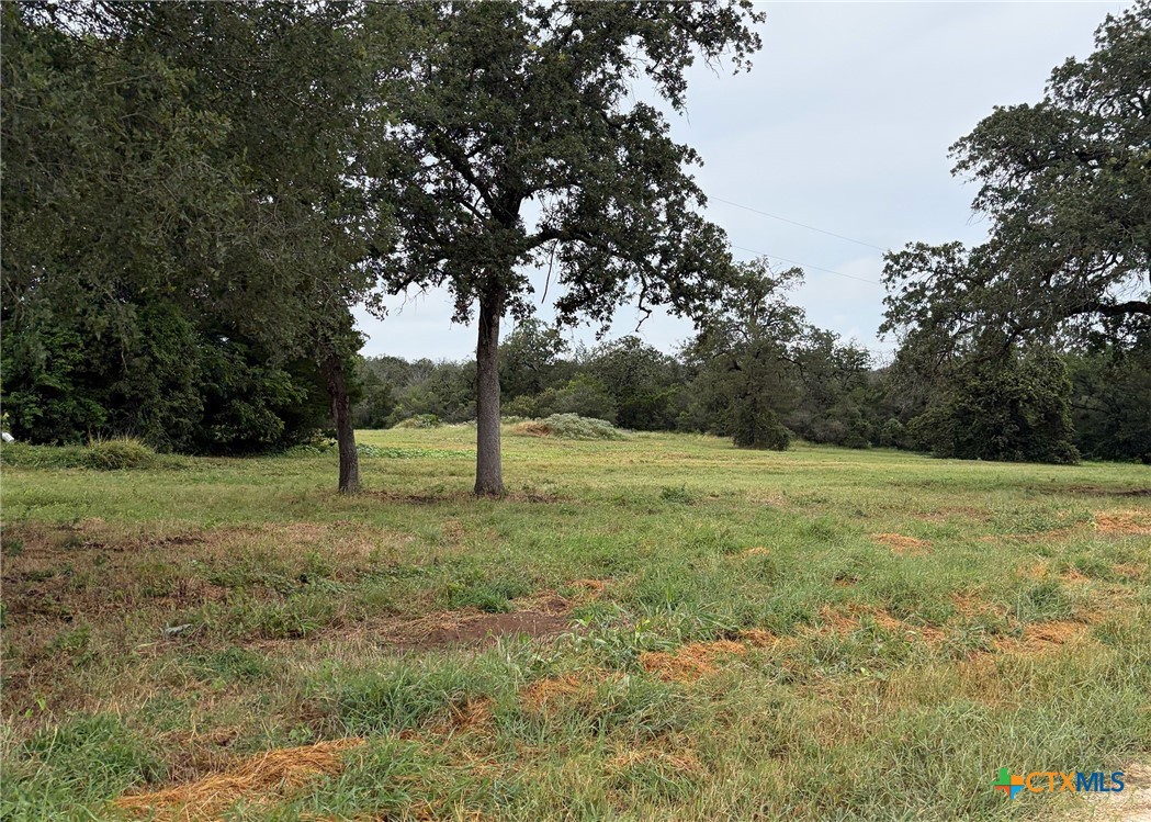 334 Johnson Farms Road Harwood, TX 78632 - Photo 21 of 24 Gallery Image 21