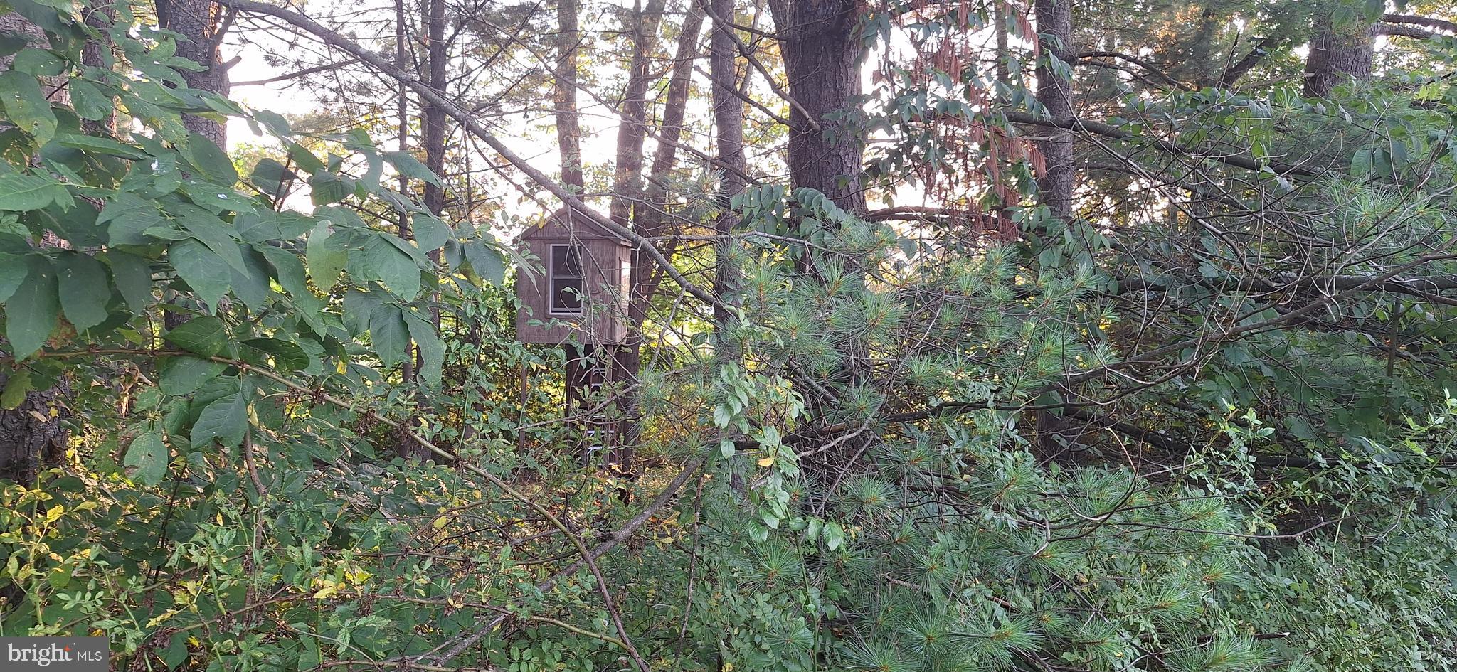 773 Deep Creek Road Ashland, PA 17921 - Photo 29 of 92 Gallery Image 29