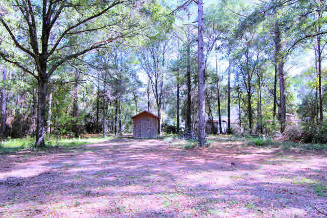 3384 Lacoste Road Mobile, AL 36618 - Photo 6 of 21 Spacious Yard with storage shed.