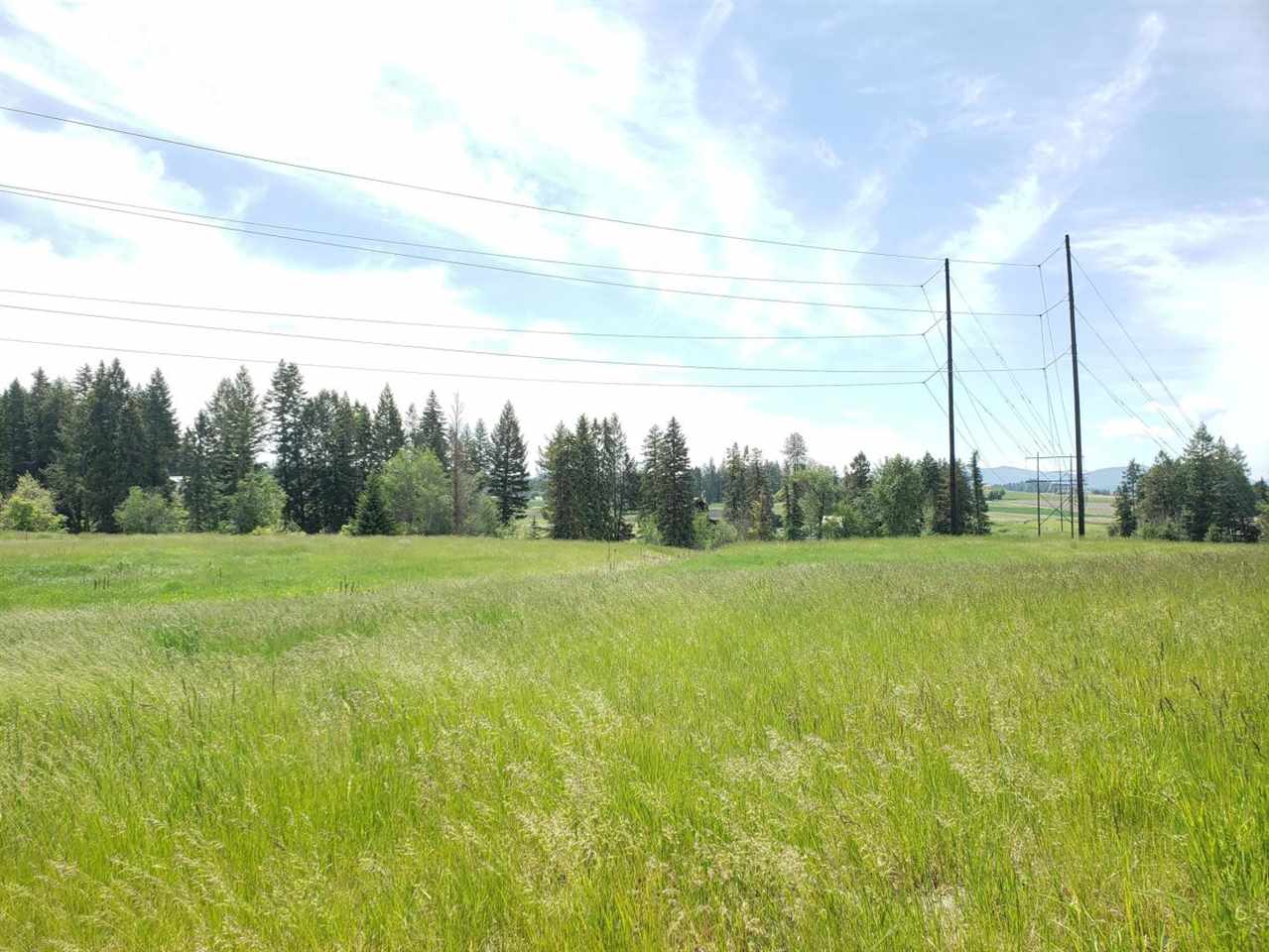 2070 Ringneck Loop Colville, WA 99114 - Photo 1 of 7 Gallery Image 1