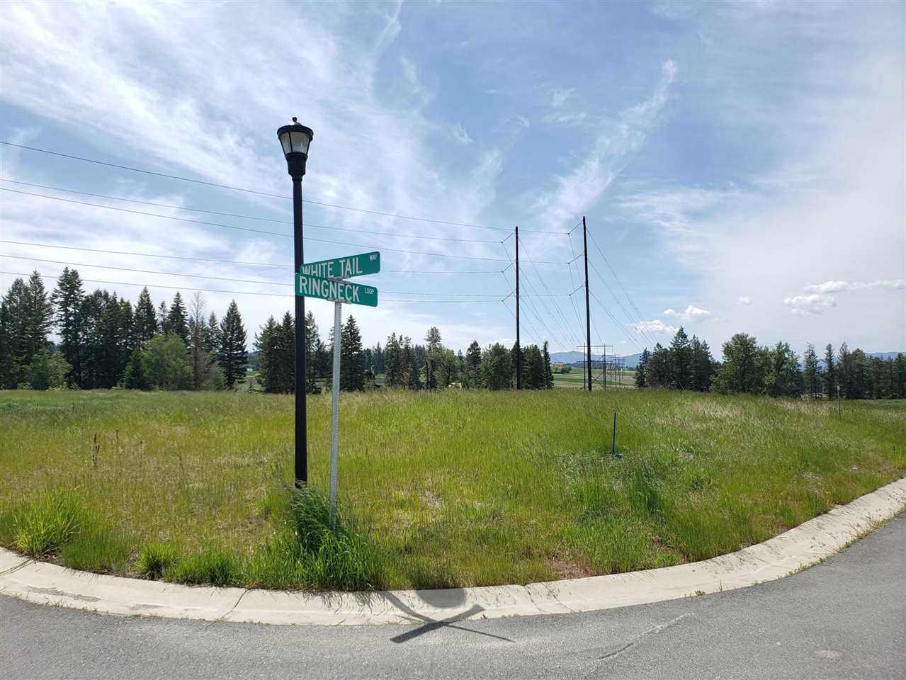 2070 Ringneck Loop Colville, WA 99114 - Photo 3 of 7 Gallery Image 3