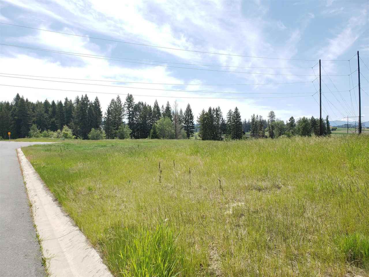 2070 Ringneck Loop Colville, WA 99114 - Photo 4 of 7 Gallery Image 4