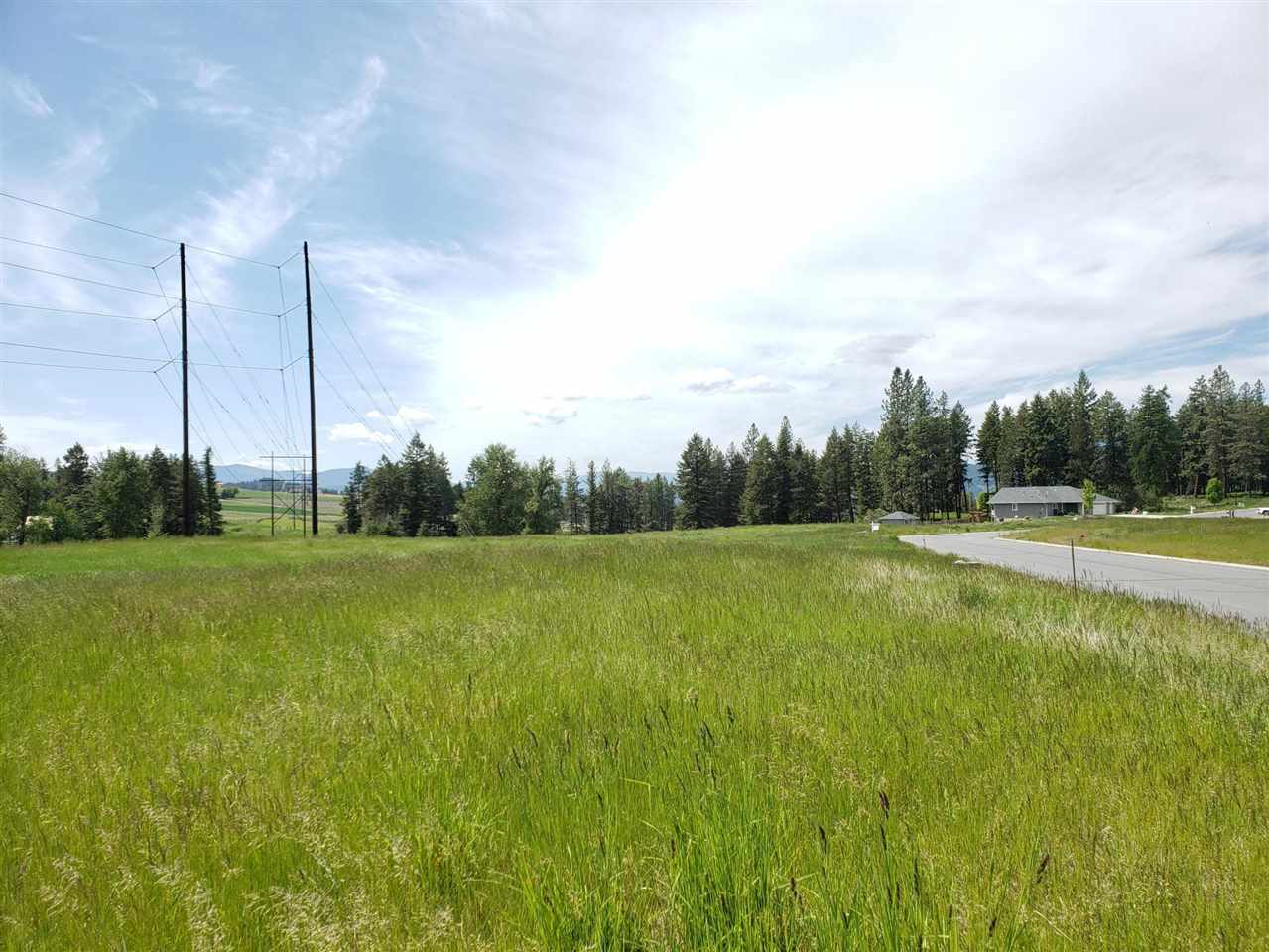 2070 Ringneck Loop Colville, WA 99114 - Photo 5 of 7 Gallery Image 5