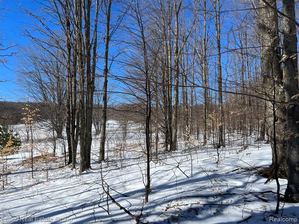 Vl Beals Road Vanderbilt, MI 49795 - Photo 6 of 6