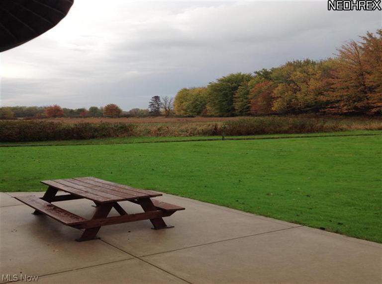 1110 March Road Jefferson, OH 44047 - Photo 17 of 19 View from patio