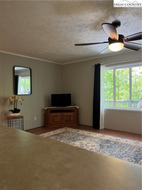 905 Lyons Road Glade Valley, NC 28627 - Photo 23 of 42 Gallery Image 23