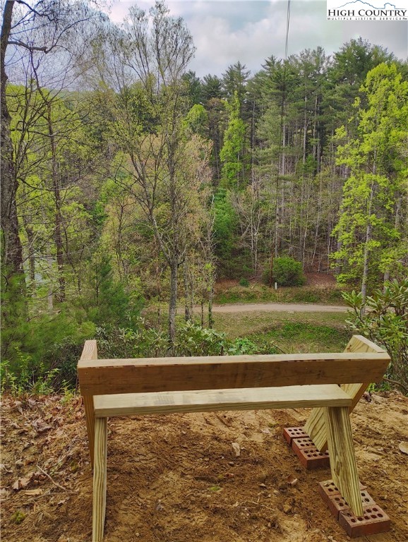 905 Lyons Road Glade Valley, NC 28627 - Photo 6 of 42 Gallery Image 6