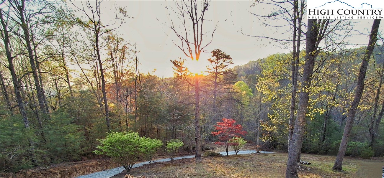 905 Lyons Road Glade Valley, NC 28627 - Photo 7 of 42 Gallery Image 7
