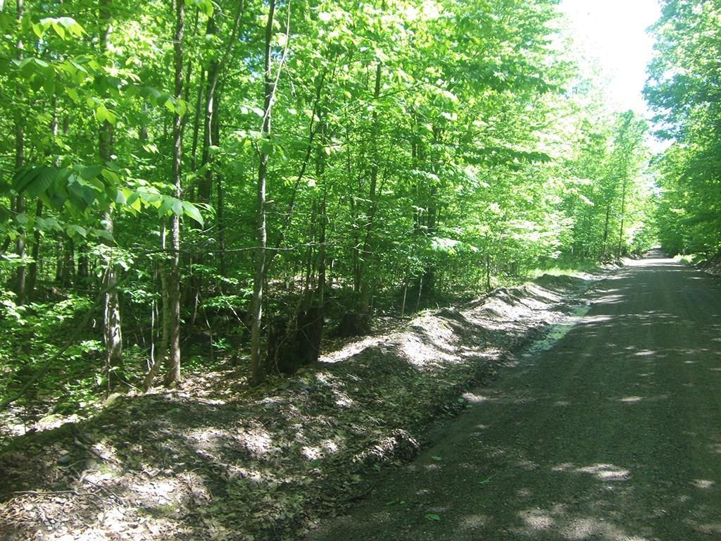 4.85-acres 4.85-acres Joes Road Conrath, WI 54731 - Photo 2 of 5