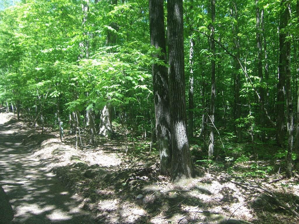 4.85-acres 4.85-acres Joes Road Conrath, WI 54731 - Photo 3 of 5