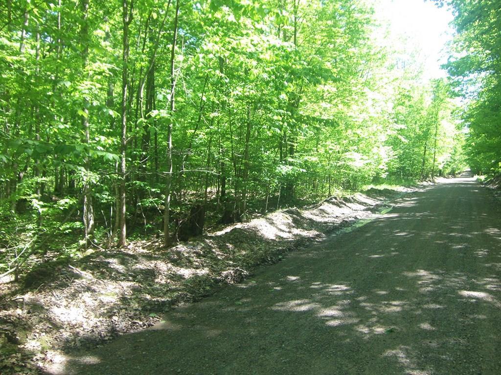 4.85-acres 4.85-acres Joes Road Conrath, WI 54731 - Photo 5 of 5