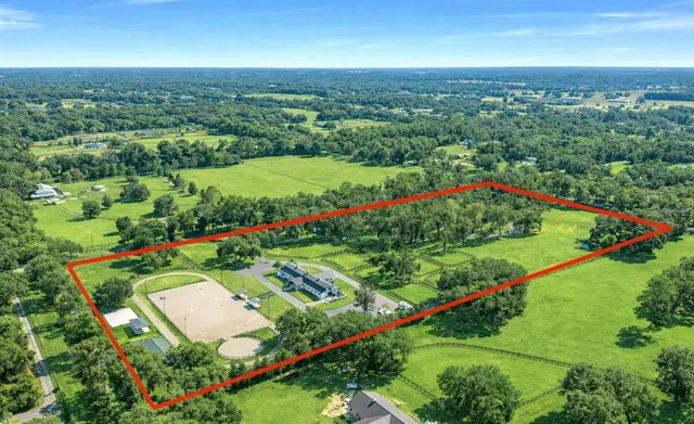 an aerial view of green landscape with trees houses and mountain view