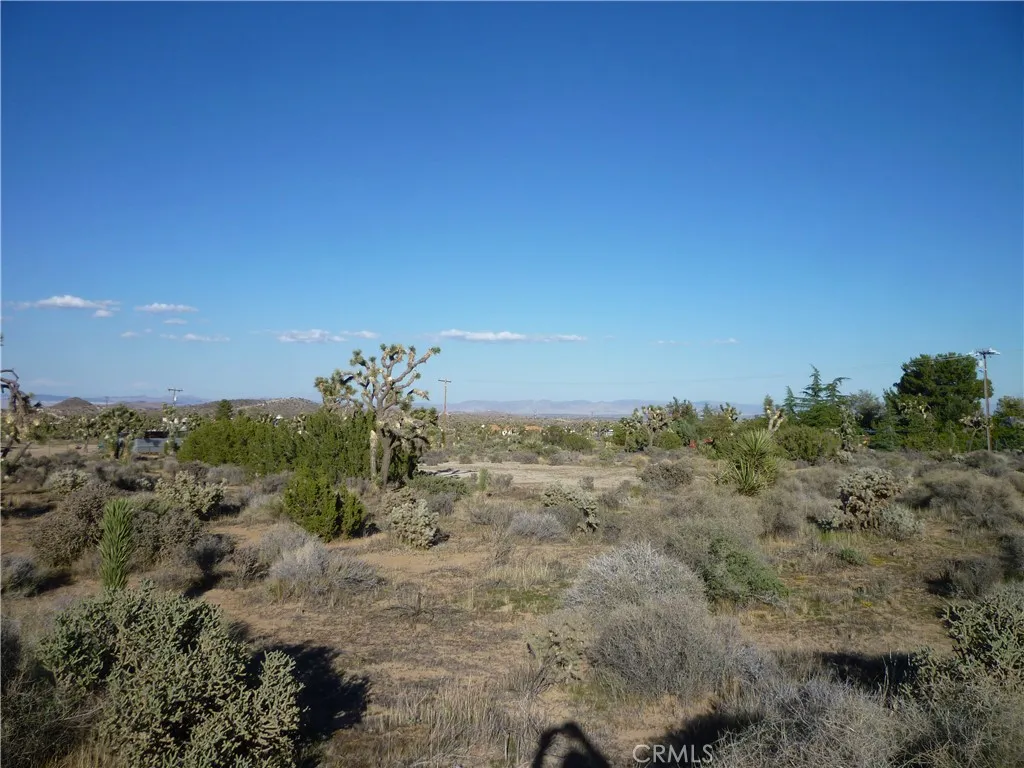 1234 Canton Street Yucca Valley, CA 92284 - Photo 2 of 27 a view of a yard