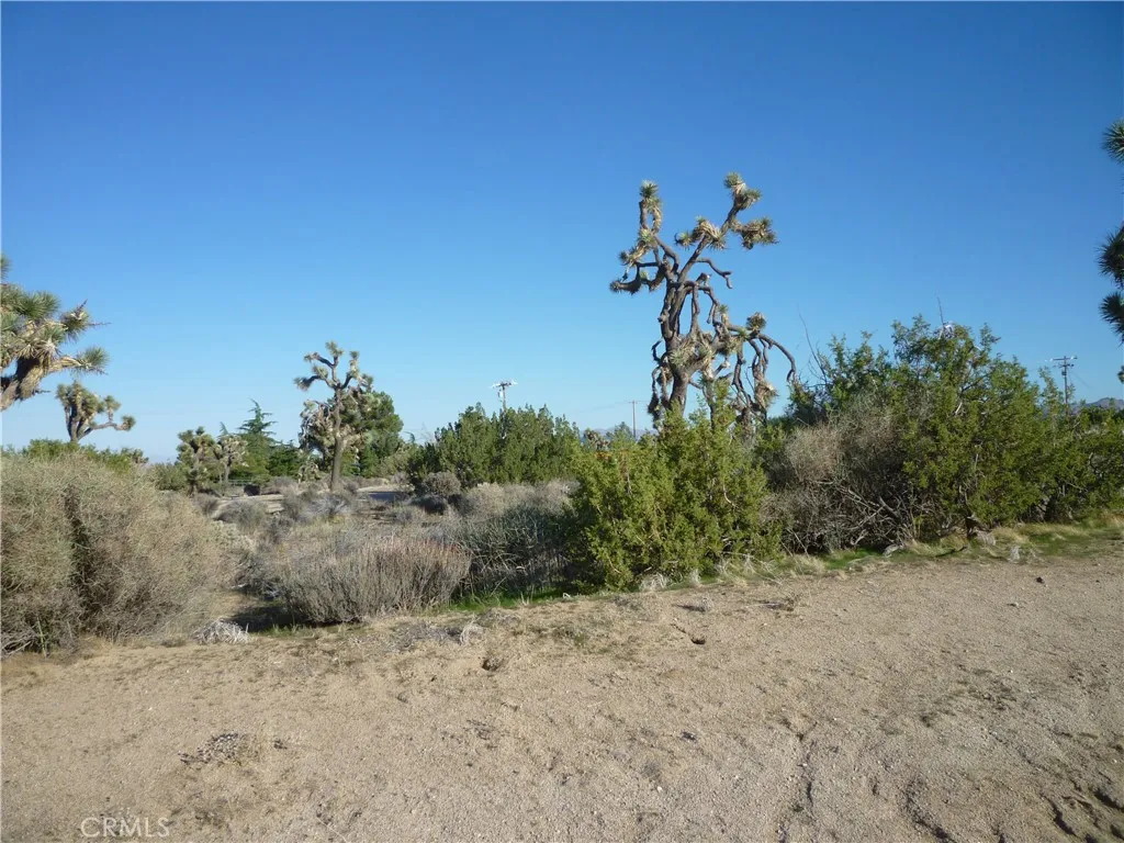 1234 Canton Street Yucca Valley, CA 92284 - Photo 24 of 27 a view of a yard