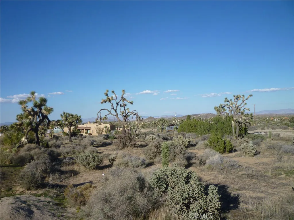 1234 Canton Street Yucca Valley, CA 92284 - Photo 6 of 27 a view of a field with lots of bushes