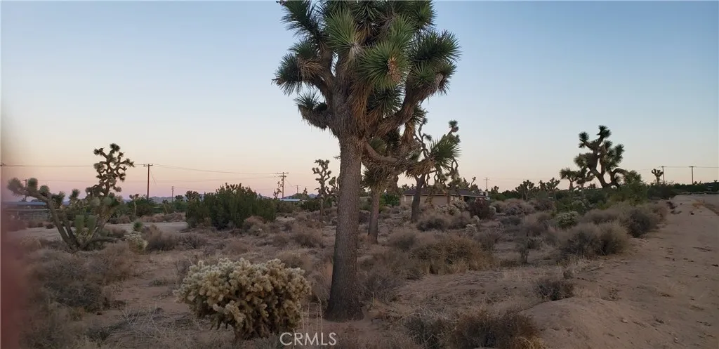 1234 Canton Street Yucca Valley, CA 92284 - Photo 10 of 27 a view of a city with a mountain in the background