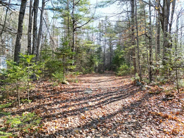 $10,000 | Lot 9 James Way, Lincoln, ME 04457